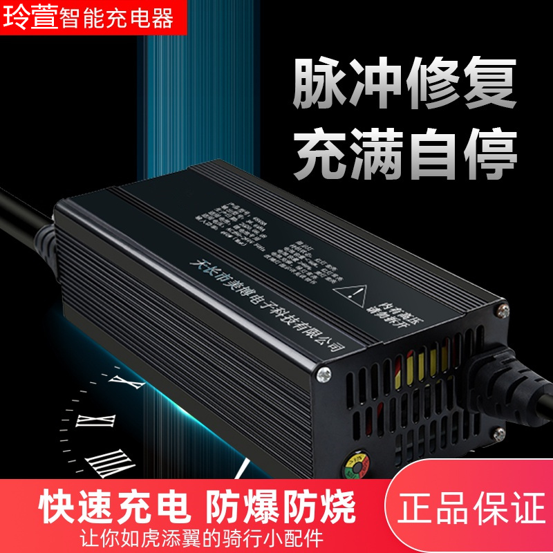 16串48V磷酸铁锂电动车锂电池充电器58.4V8A10A12A15A18A48伏快充