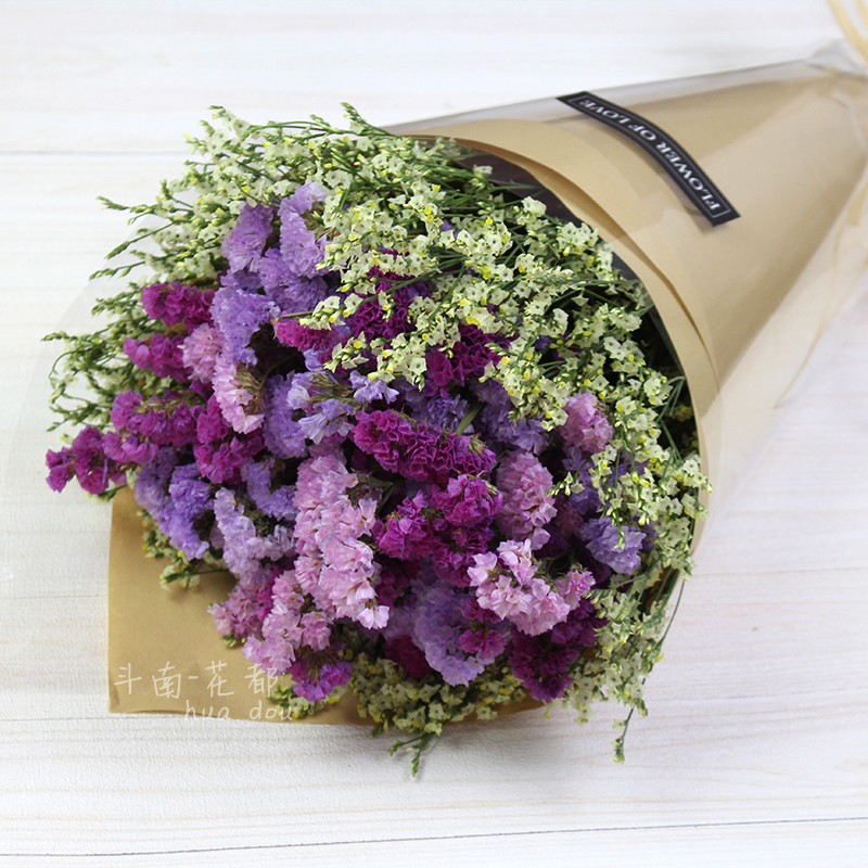 勿忘我干花 DIY客厅装饰 拍摄道具摆设花材 花束搭配 直销包邮