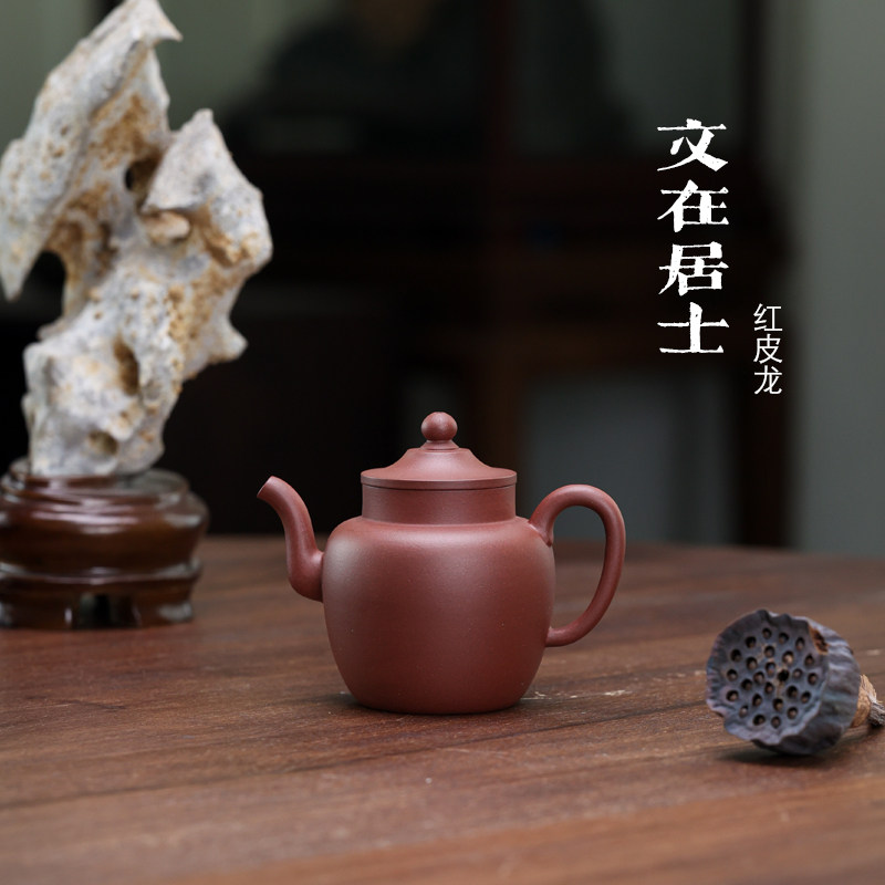 涤壶出品[文在居士]红皮龙约160毫升宜兴原矿紫砂茶壶手制家用