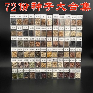 科普种子标本蔬菜水果五谷豆子学生认知鉴别幼儿园植物角种子大全