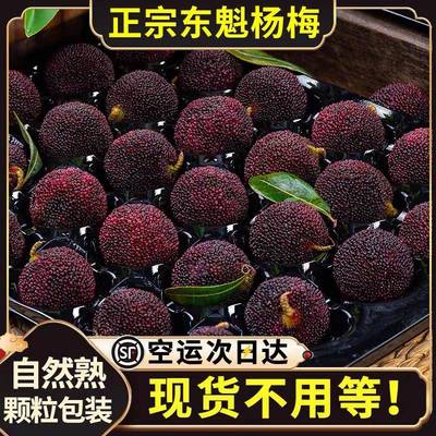 顺丰空运浮宫漳州东魁杨梅特大果新鲜水果当季现摘现发礼盒装包邮