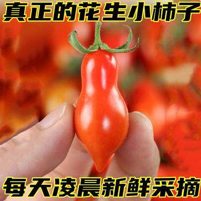 409花生小柿子整箱当季新鲜水果碱地柿子铁皮小番茄非千禧圣女果