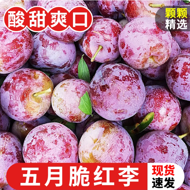 茵红李脱骨李子新鲜青红脆甜李空心脆红李五月脆李现货