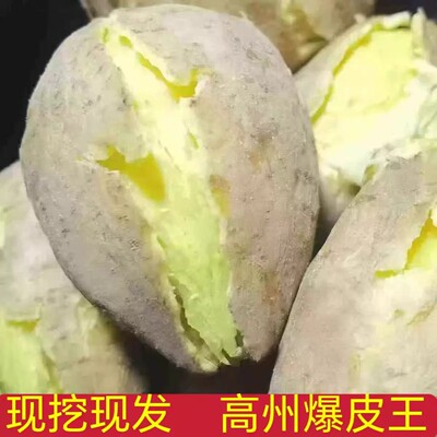 爆皮王番薯新鲜农家自种板栗薯茂名大番薯白