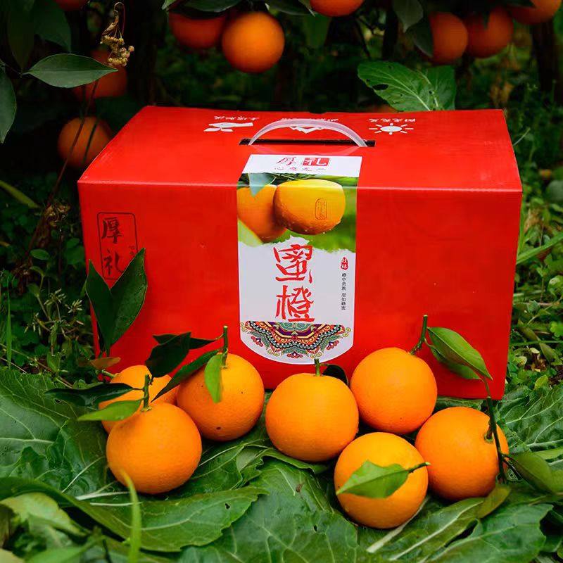 广西桂林蜜香橙蜂蜜橙纯甜橙子手剥甜橙新鲜现摘当季水果冰糖脐橙,水产肉类/新鲜蔬果/熟食,橙,淘宝优惠券,粉丝福利购,淘宝优惠卷