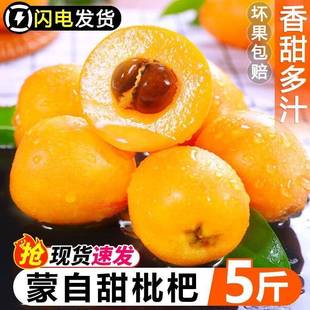 顺丰快递云南蒙自枇杷鲜果5斤孕妇水果枇杷当季现摘现发长虹琵琶