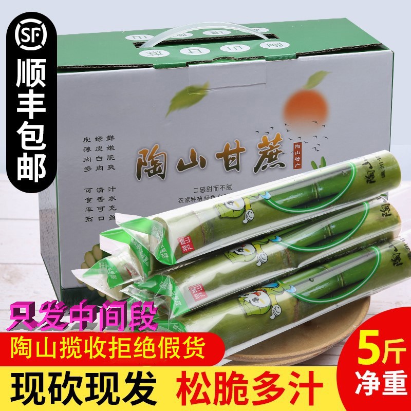 顺丰包邮陶山甘蔗现砍现发陶山青皮绿皮新鲜手撕脆皮果蔗温州特产