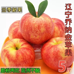 农家直发乔纳金苹果乔娜金酸甜脆粉新鲜孕妇水果现货包邮