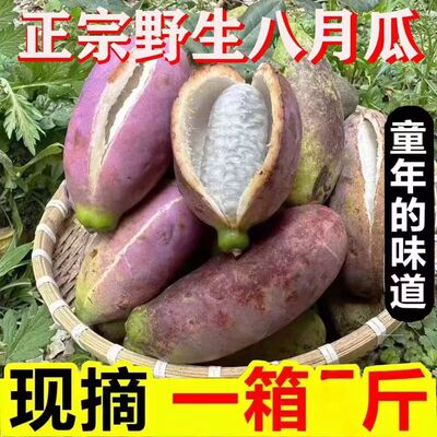 顺丰26年八月瓜新鲜现摘八月炸网红预知子木果野香蕉甜瓜孕妇水果