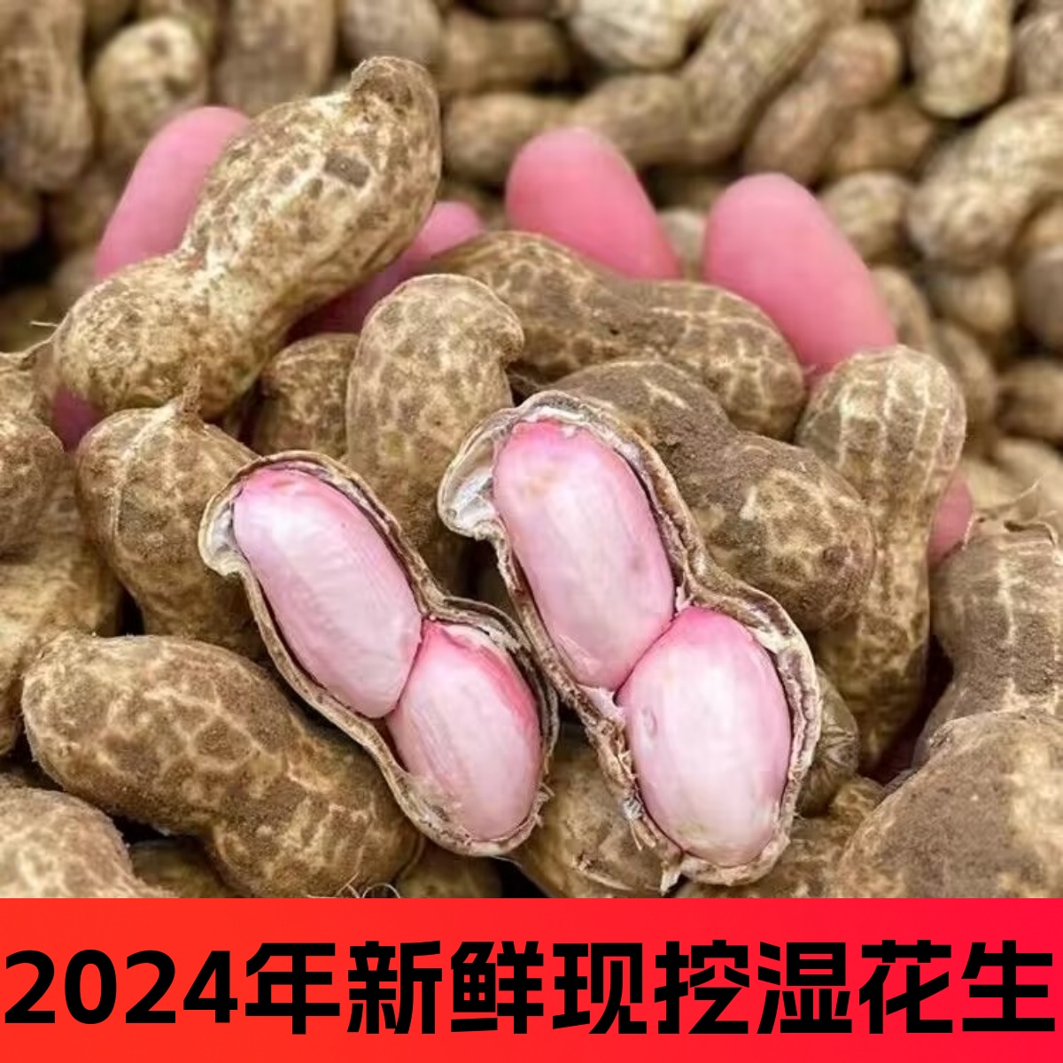 2024年新鲜带壳湿花生白米鲜花生四粒红米小花生现挖带泥嫩花生粉