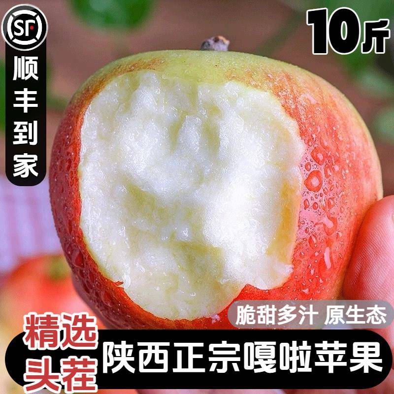 正宗嘎啦苹果10斤新鲜水果当季现摘红富士苹果脆甜丑苹果平冰糖心