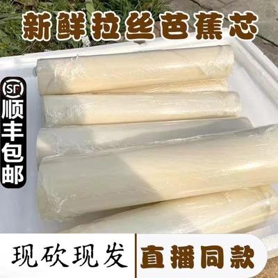 现摘新鲜生野芭蕉心天然芭蕉杆食用芭蕉芯焦茎干吃播拉丝炒菜顺丰