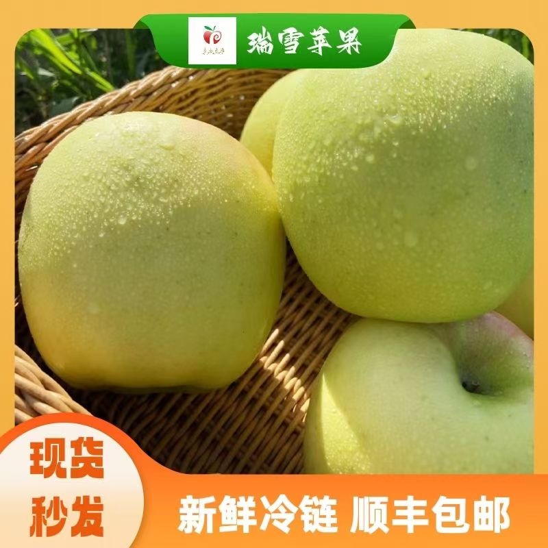 正宗瑞雪苹果瑞雪80mm基地直发青苹果纯甜无酸汁多脆爽