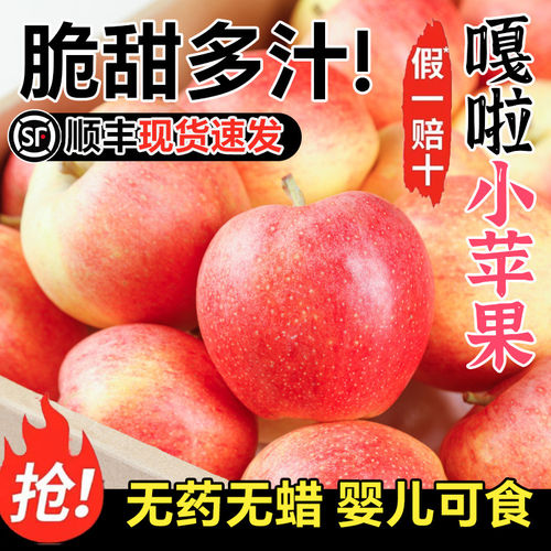 正宗嘎啦苹果现货红苹果粉面小苹果整箱水果新鲜包邮