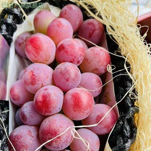 现货妮娜皇后葡萄礼盒2~4串当季新鲜罗马红宝石晴王无籽红提