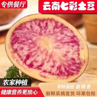 红皮花心洋芋七彩土豆种子云南特产新鲜蔬菜餐厅零售火锅美食