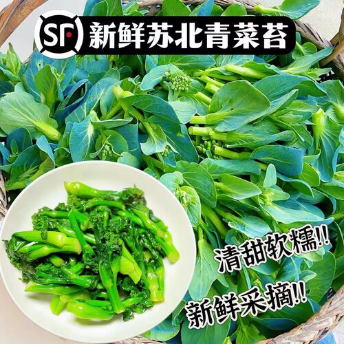 新鲜霜冻青菜苔甜糯嫩菜心青菜芯现摘新鲜蔬菜油菜菜苔