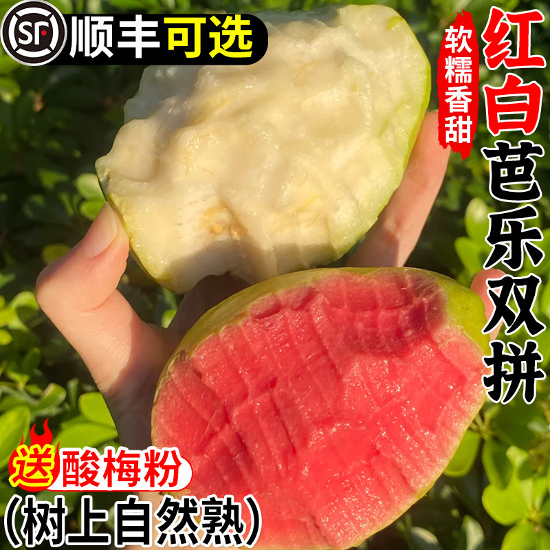 2025软糯红白心芭乐水果新鲜包邮5斤应季番石榴脆甜胭脂红鸡屎果