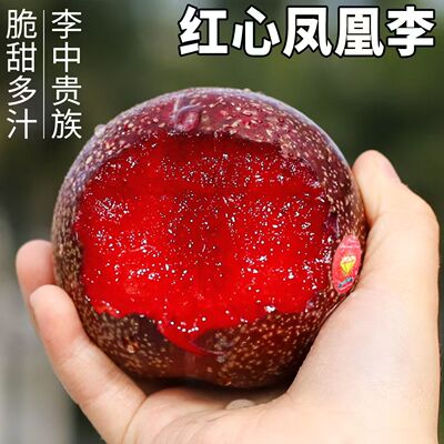 顺丰】红心凤凰李恐龙蛋李子新鲜水果血丝孕妇包邮大果