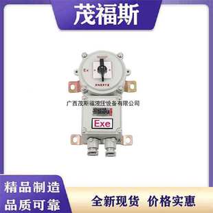 IIB CBZK系列防爆开关 行程开关 CBZK防爆转换开关60