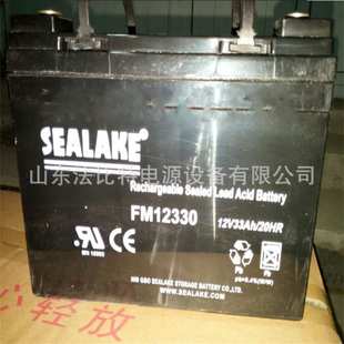 机房后备 20HR风能发电 海湖电池 12V12AH SEALAKE蓄电池FM12120