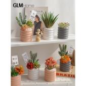 饰 采购产品斯堪 客厅装 假花 创意多肉小 纳维亚模拟绿色植物