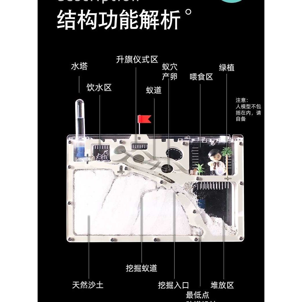 蚂蚁城堡 生态箱蚁村宠物蚂蚁工坊部落家园王国宫殿别墅沙子蚁巢