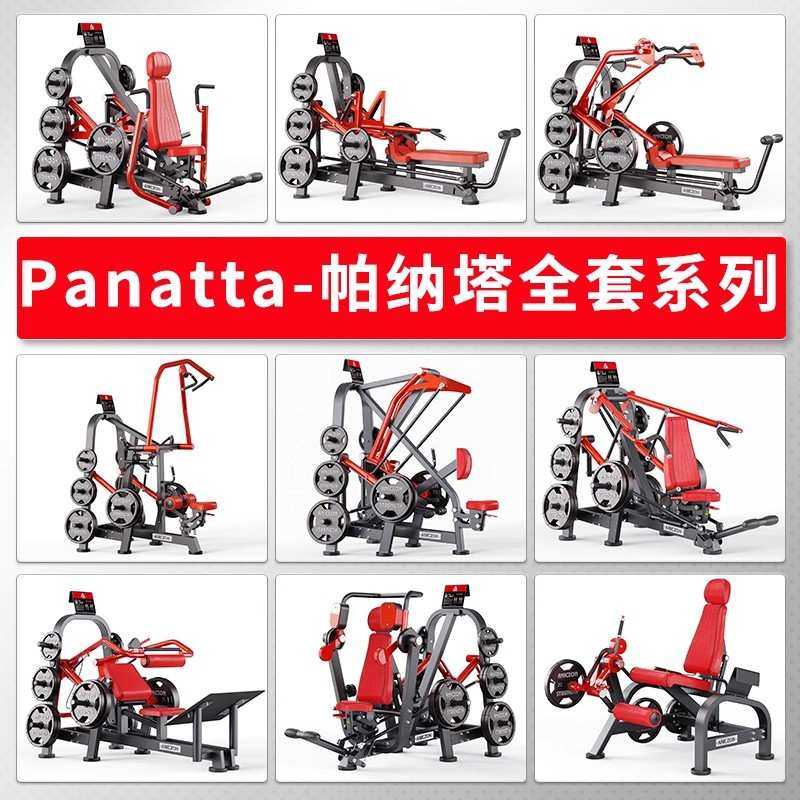 panatta器械帕纳塔健身器材健身房专用全套器械背腿胸部健身器材