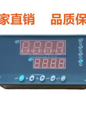 P-80W 上润WP-D823/S821-011/022-2323-2H2L双路数显表 D423 T823