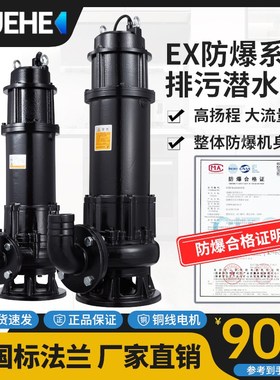 BWQ防爆潜水排污泵ex国标隔爆型潜污泵380V三相矿厂加油站集水坑