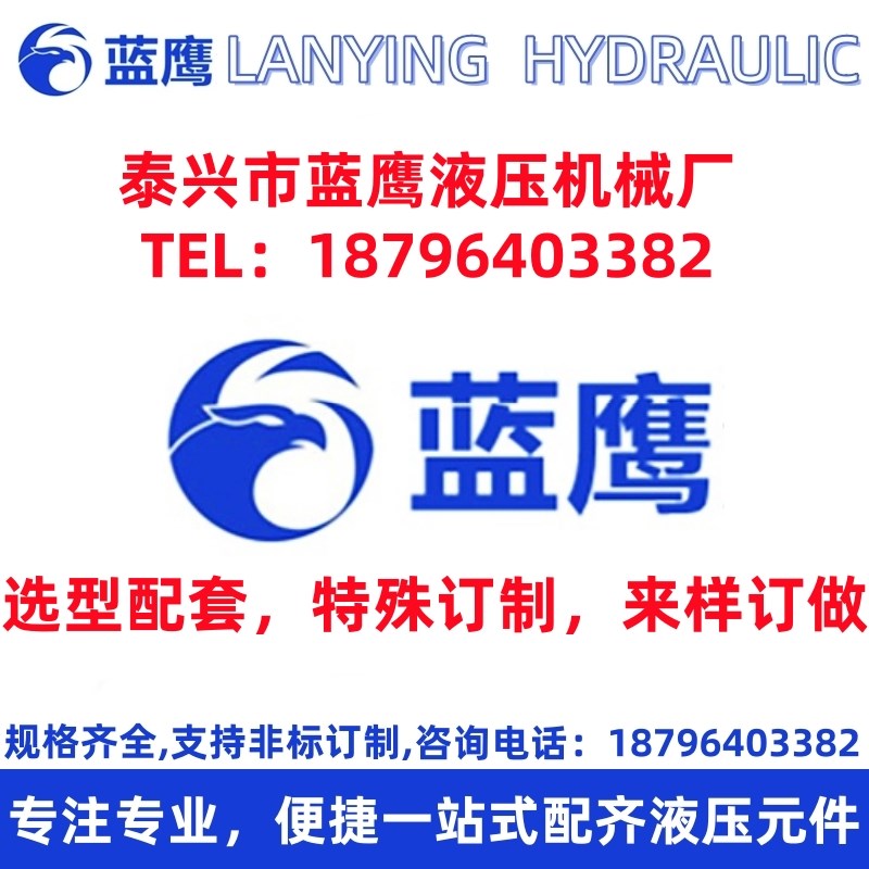 蓝鹰订制齿轮油泵G0F2B-32齿轮泵25/20/16/10/6/4面浆凉皮GFQ-2.5