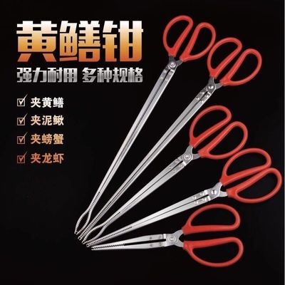 不锈钢黄鳝夹子鳝鱼泥鳅螃蟹钳子防滑脱控鱼器多功能专用赶海神器