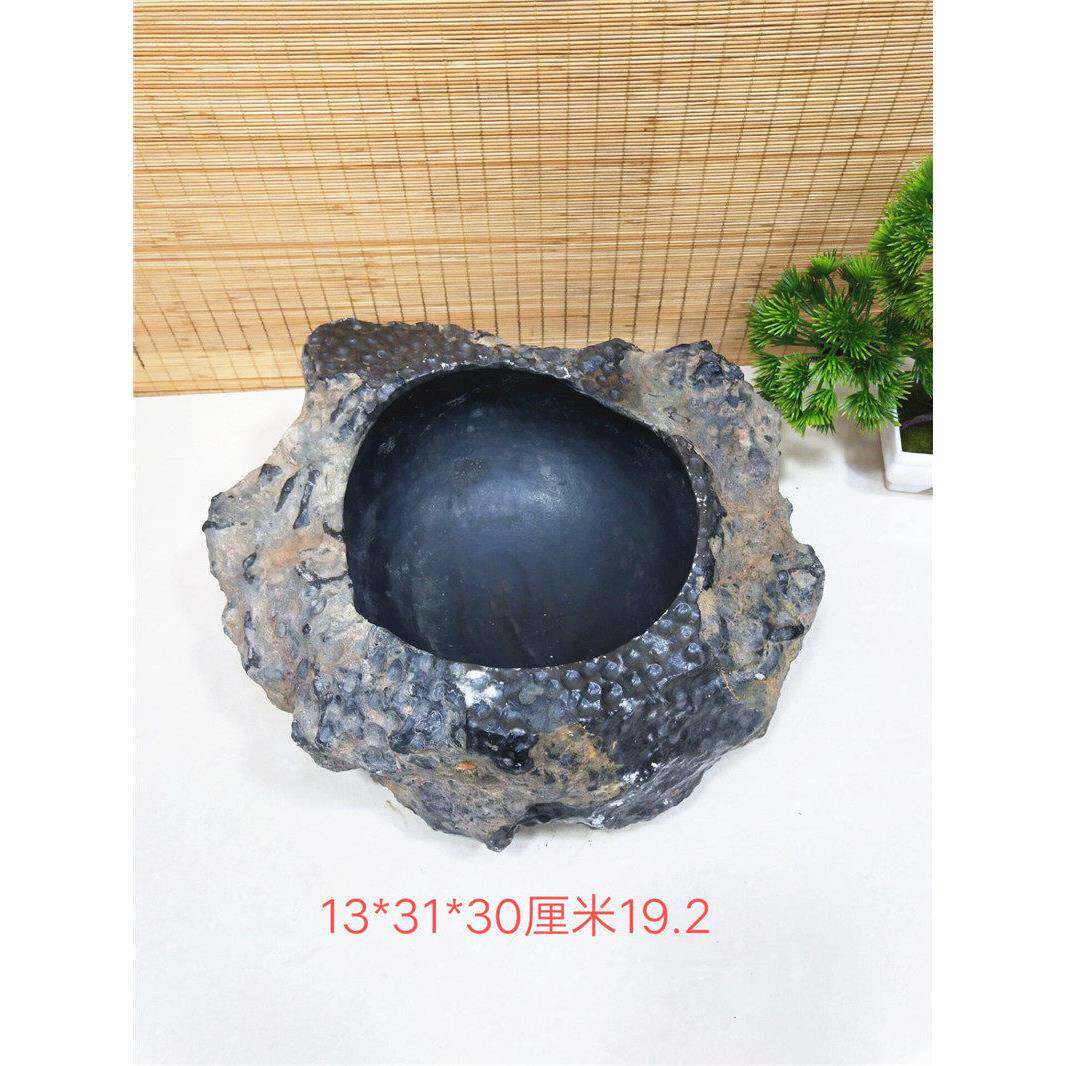 精品珊瑚虫化石烟灰缸多肉花盆奇石原石摆件收藏礼品观赏石