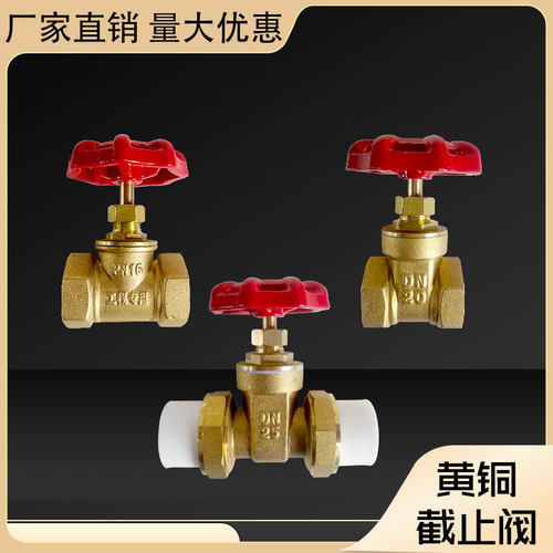 黄铜截止阀全铜闸阀PPR铜闸阀门4分6分1寸DN15202532管道水表开关