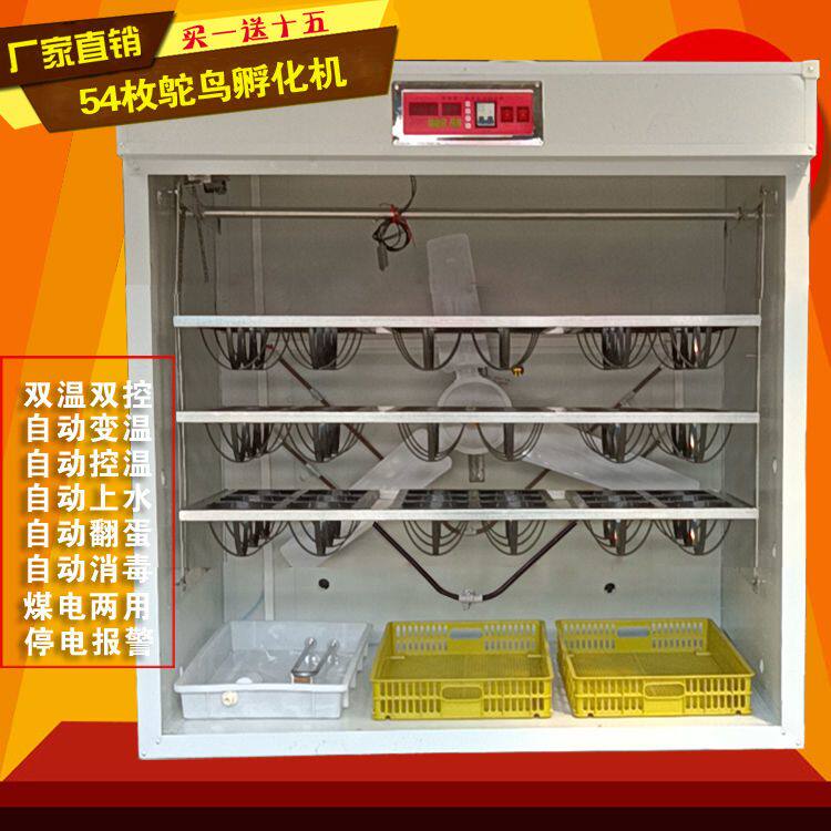 鸵鸟孵化器全自动蛋盘鸸鹋智能48鸵鸟专用孵化机家用孵化设备