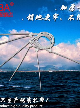 4x200宽2.7mm长20cm500根瑞邦白色塑料自锁式尼龙扎带捆扎带 包邮