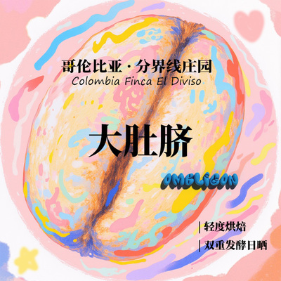 哥伦比亚分界线庄园 大肚脐 双重发酵日晒手冲单品咖啡豆下单烘焙