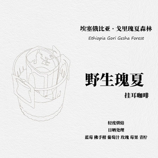 挂耳咖啡新鲜现磨咖啡豆埃塞俄比亚戈里瑰夏森林野生瑰夏日晒处理