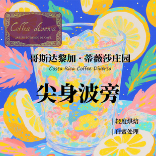 哥斯达黎加蒂薇莎庄园尖身波旁白蜜处理咖啡豆手冲天然低因咖啡豆