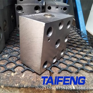 山东泰丰液压TLFA 06 ZDBT -7X型控制盖板