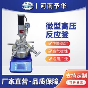 500ml微型高压反应釜 不锈钢高压反应釜TGYF C50 100 250