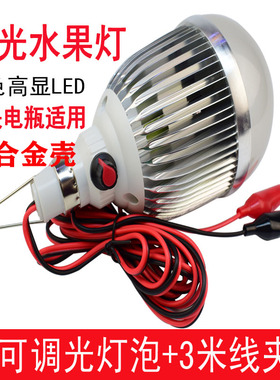 12VLED可调色水果灯夜市灯电动三轮车48V60V生鲜灯红色灯地摊灯