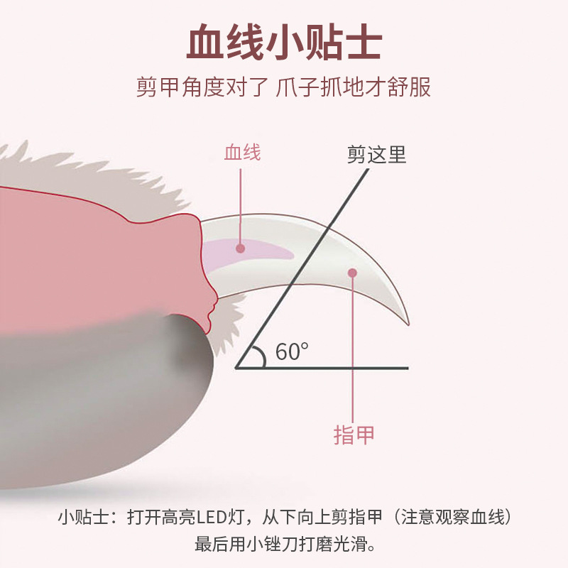 猫咪指甲剪磨甲器狗狗指甲剪宠物指甲钳led灯光防血位修指甲用品
