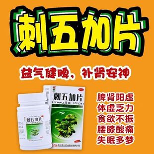 失眠多梦 红绿灯刺五加片100片腰膝酸痛 体倦体虚乏力 脾肺气虚