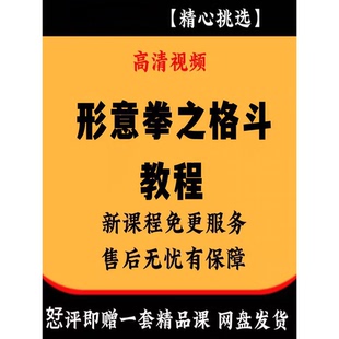 薛颠形意拳之格斗入门到精通 视频课程