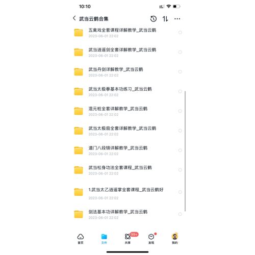 武当云Y鹤36式太极丹剑太极拳混元桩太极扇八段锦松身太乙逍遥掌