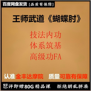 王师 武道心法《蝴蝶肘》技法内功+体系筑基+高级功FA 实战课程