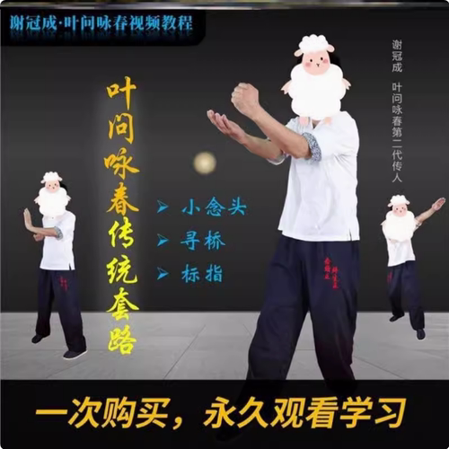 抖音同款【谢冠成】叶问咏春拳教学视频课程·八斩刀/六点半棍