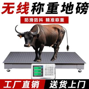 3吨高精度5吨称猪牛羊养殖秤商用电子秤斜坡 上海耀华电子地磅秤1
