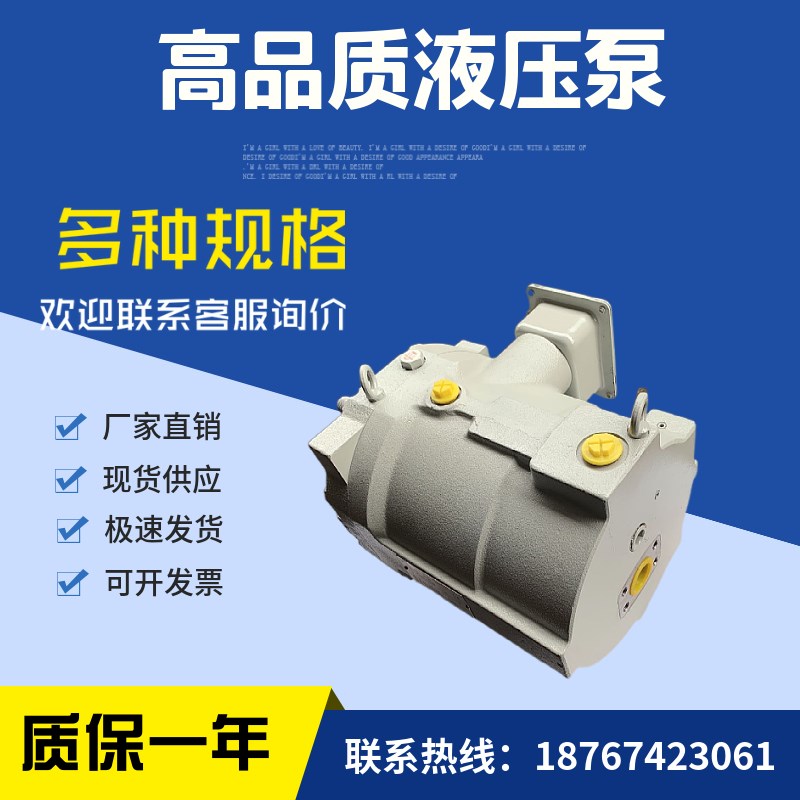 RP08A1-07-30-T油泵RP15A1-15-30转子泵RP15A1-22-30-T